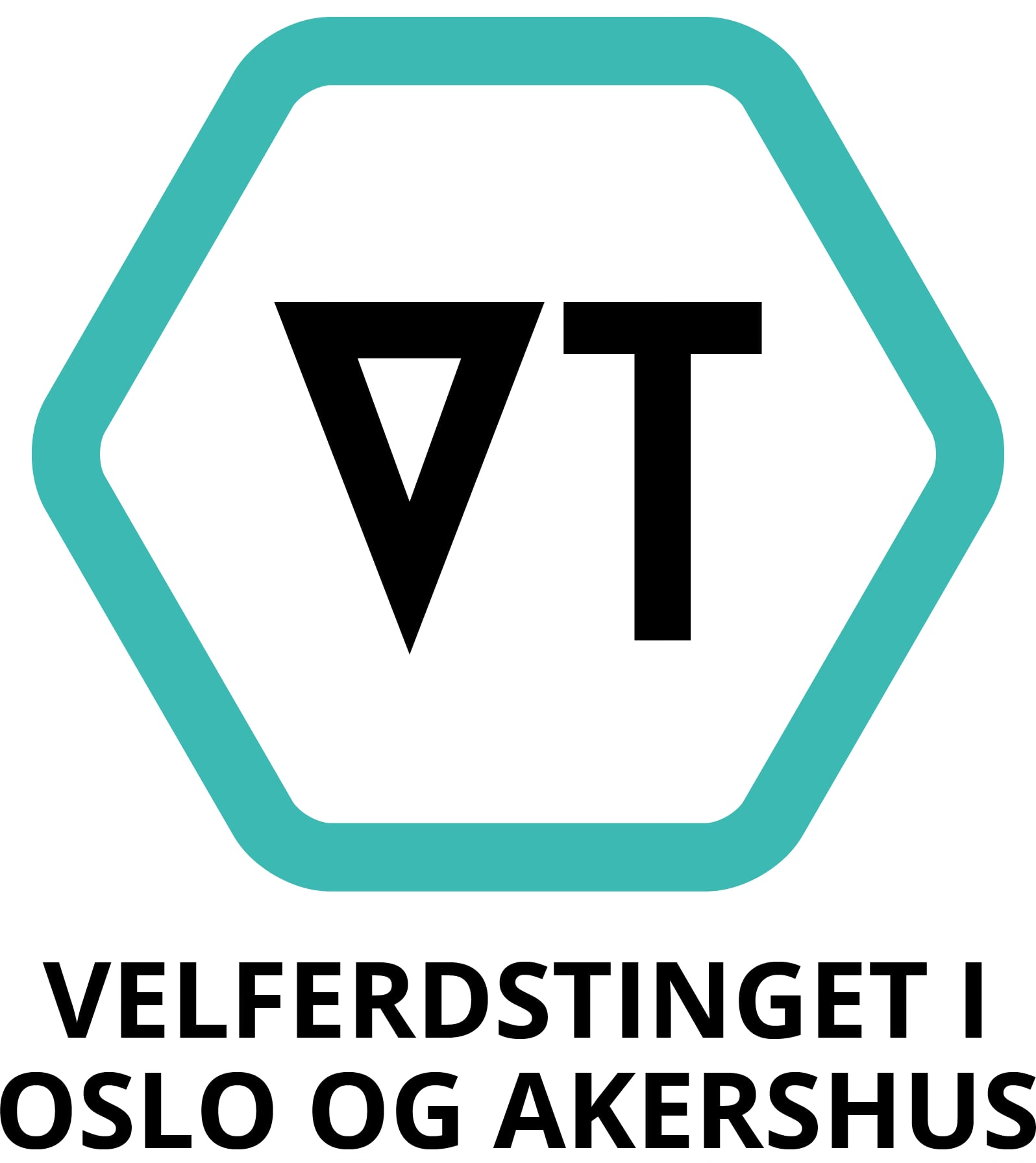 Logo VT