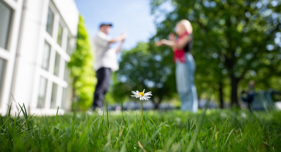 Blomst i fokus med to mennesker i bakgrunnen.